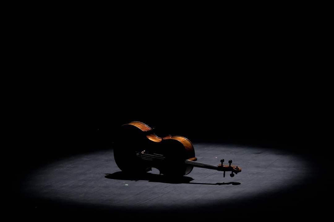 Leonardo Vieira - Ponte de Lima - Solo Musician Entertainment