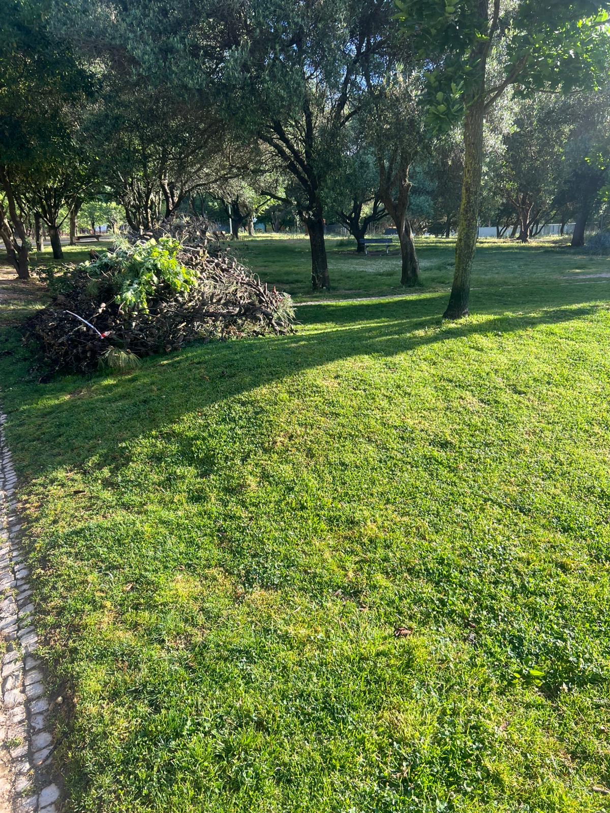 Cleangreen - Cascais - Rasenpflege - Kompletter Rundum-Service