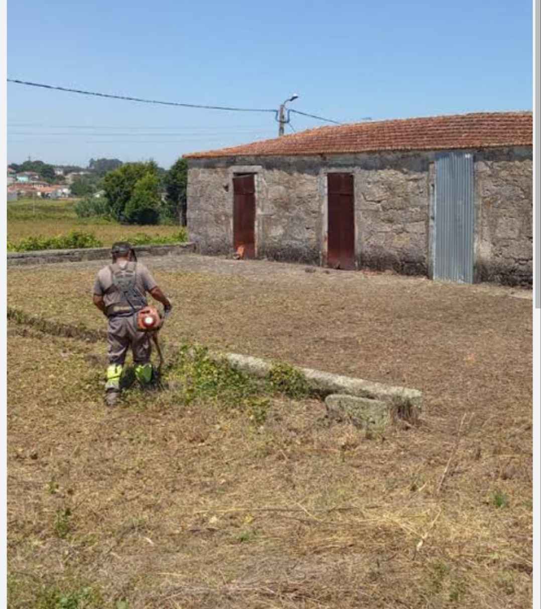 Cristina - Maia - Jardinagem