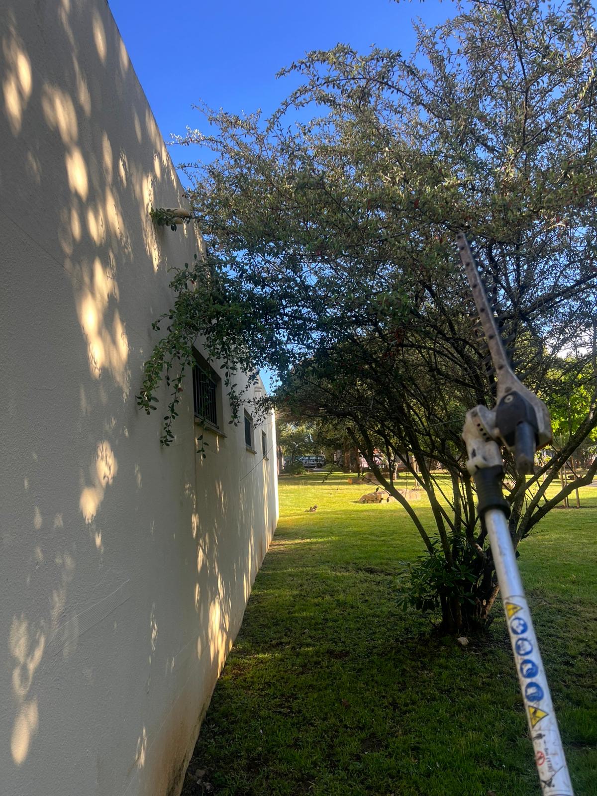Cleangreen - Cascais - Landschaftsbau