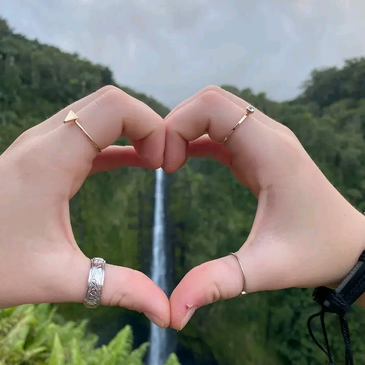 Light - Odivelas - Tradução de Hebraico