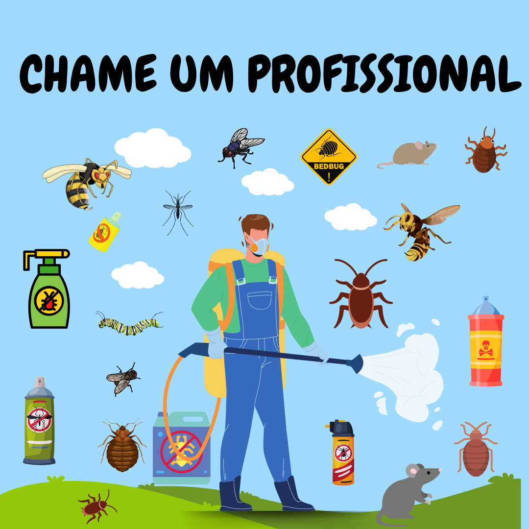 Pestclean - Lisboa - Deep or Spring Cleaning