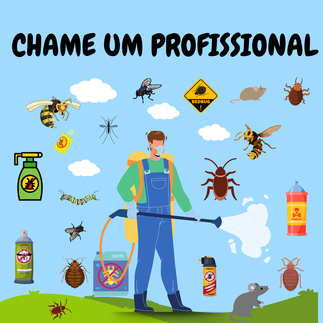 Pestclean - Lisboa - Limpeza a Fundo