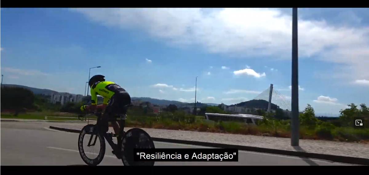 Luís Ferreira - Pombal - Video Transfer Services