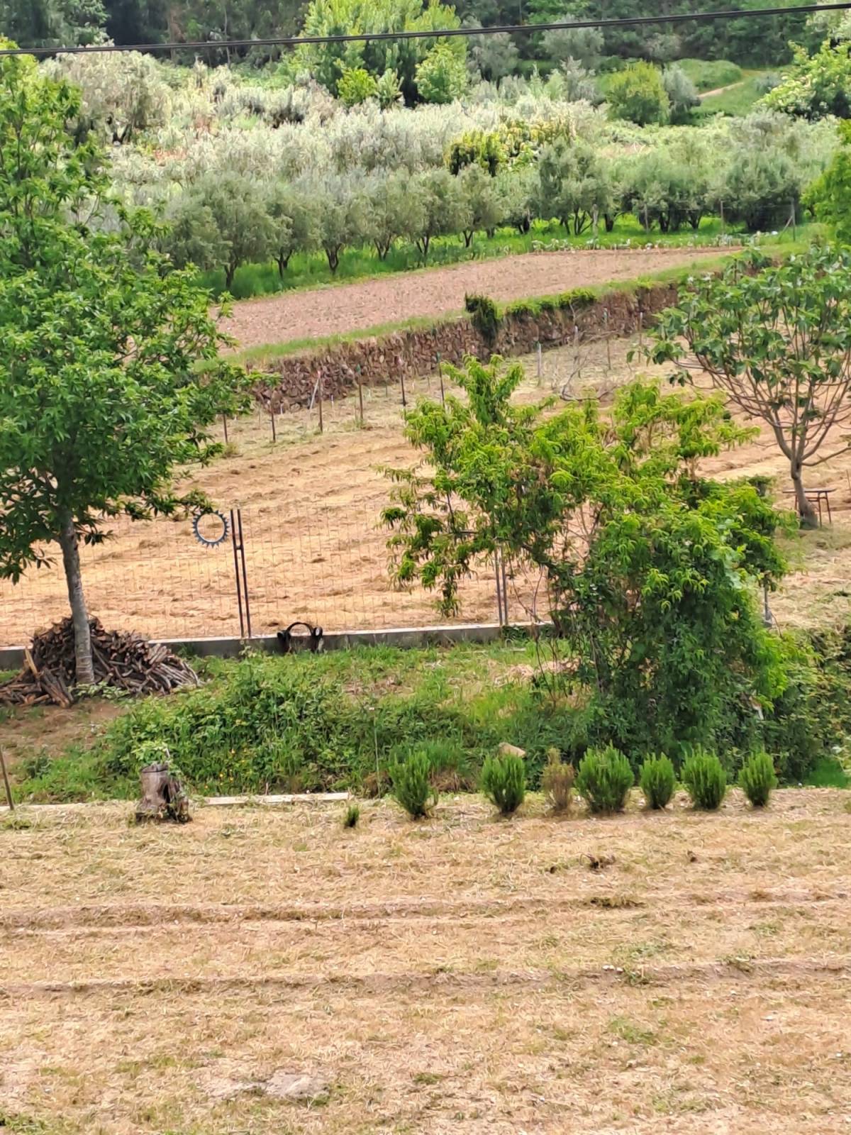 Empresa de limpieza de terrenos - Hogar
