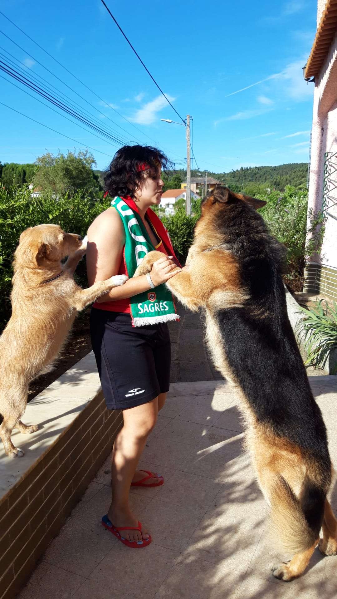 Eva Ferreira - Tomar - Dog Walking