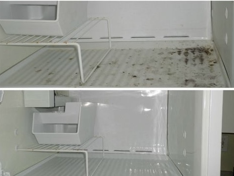 Jessica Gonçalves Viana - Moita - Limpeza a Fundo