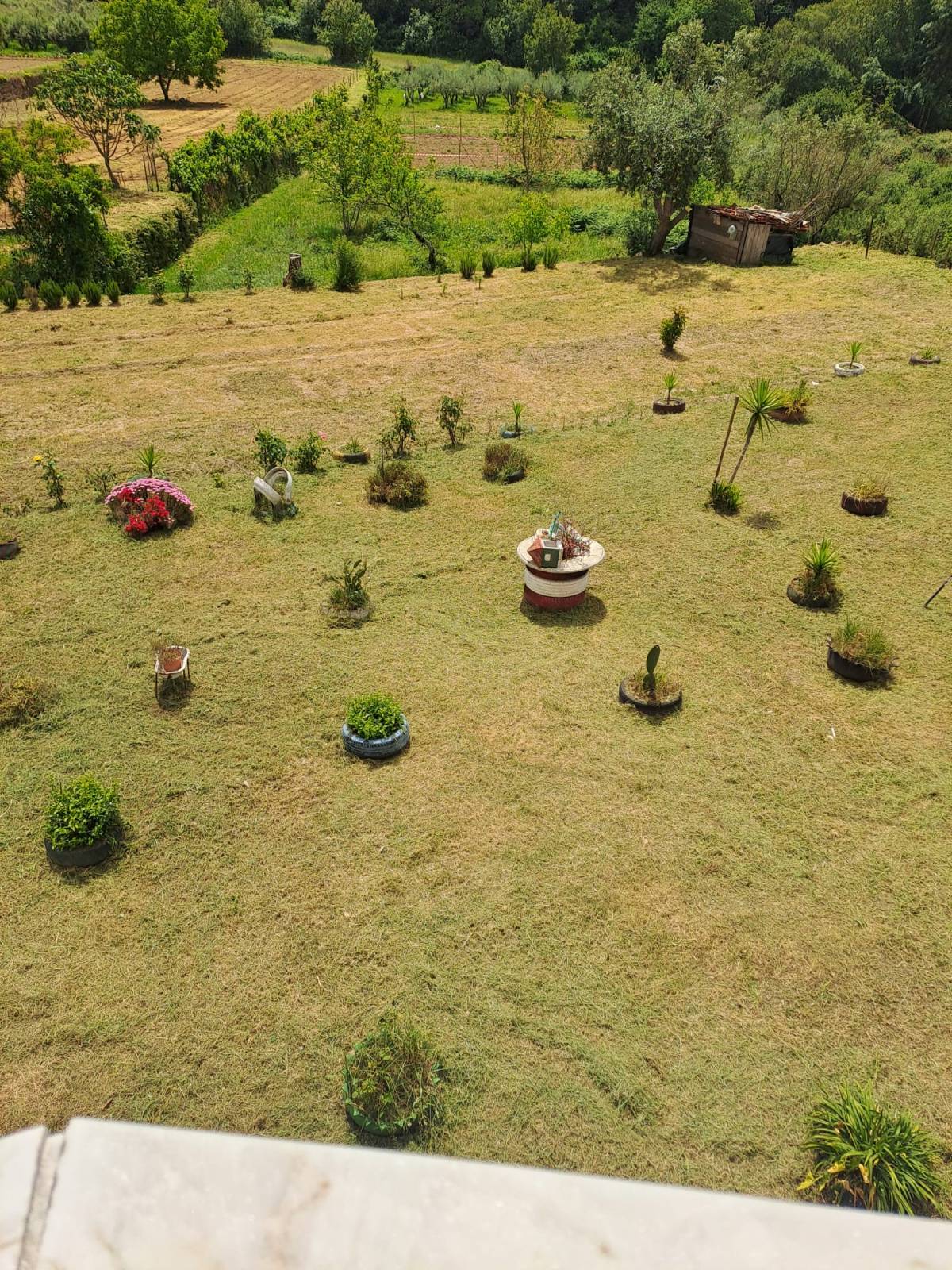 Empresa de limpieza de terrenos