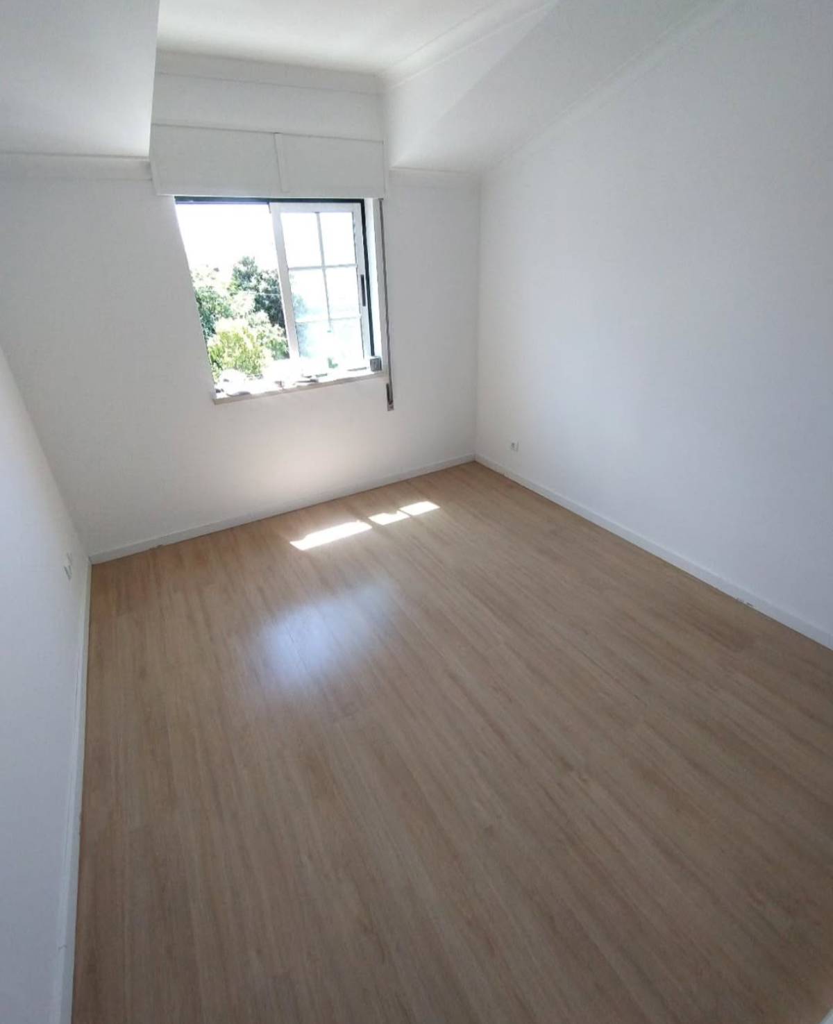 KELVYN ALENCAR PINTURA RESIDENCIAL E OUTROS - Entroncamento - Instalação de Paredes de Pladur