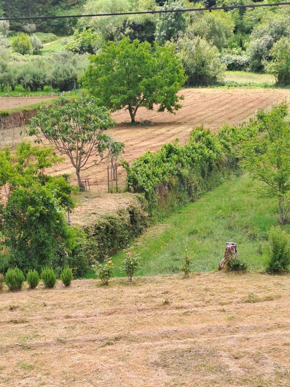 Empresa de limpieza de terrenos