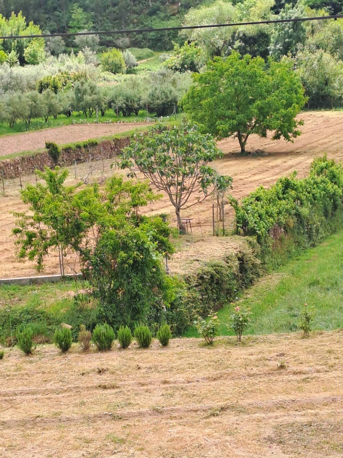 Jardinería - Hogar