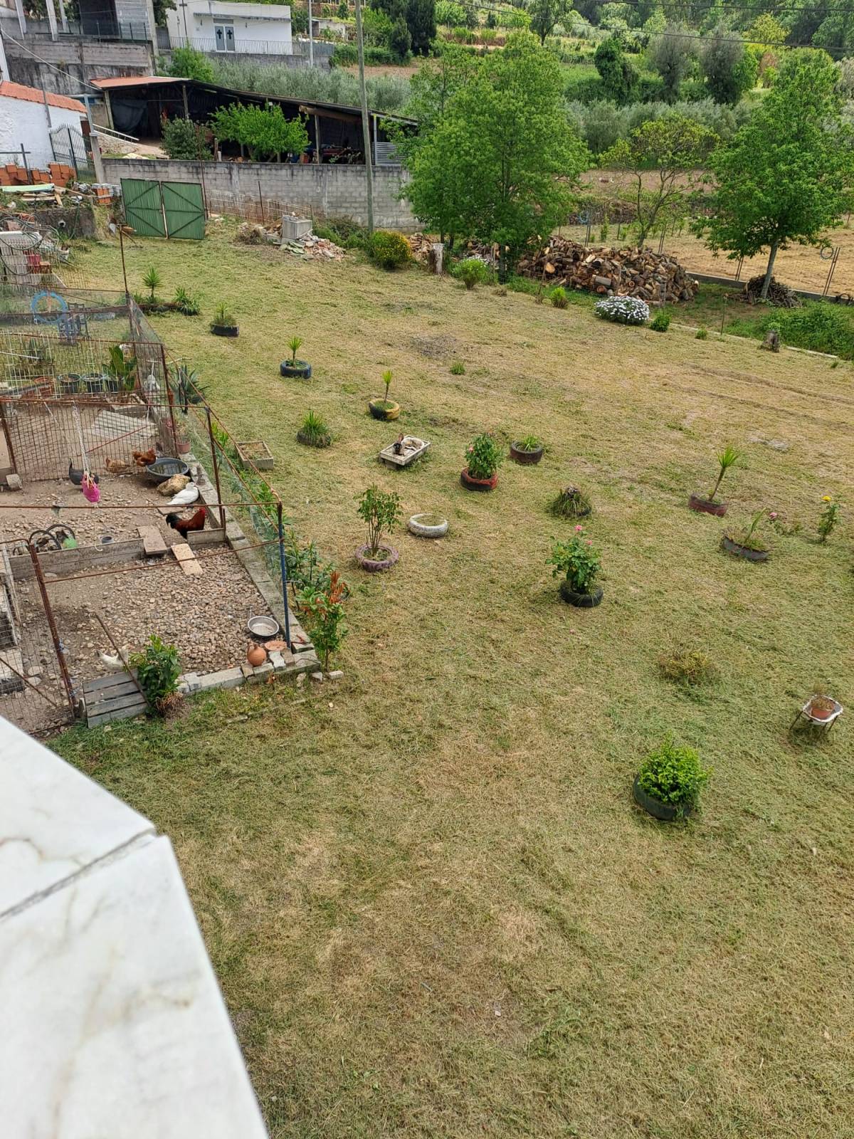 Limpieza de terrenos - Jardinería