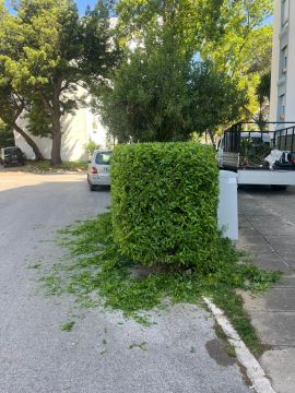 Cleangreen - Cascais - Felsen- und Steingarten anlegen