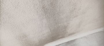 Glauciele - Marinha Grande - Mold Inspection and Removal