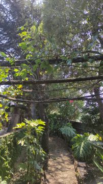 Carpintaria e Marcenaria