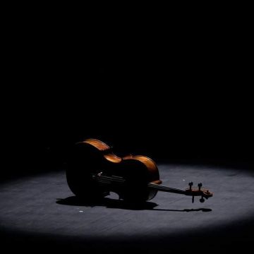 Leonardo Vieira - Ponte de Lima - Solo Musician Entertainment