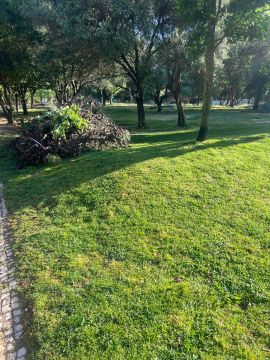 Cleangreen - Cascais - Rasenpflege - Kompletter Rundum-Service