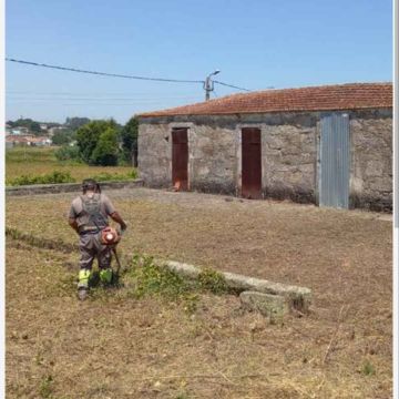 Cristina - Maia - Jardinagem