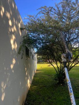 Cleangreen - Cascais - Landschaftsbau