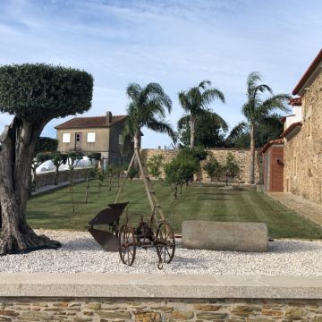 Vicente - Póvoa de Varzim - Tree Trimming and Maintenance