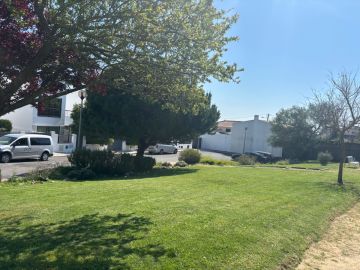 Cleangreen - Cascais - Baumstumpf oder -wurzel wegfräsen und entfernen