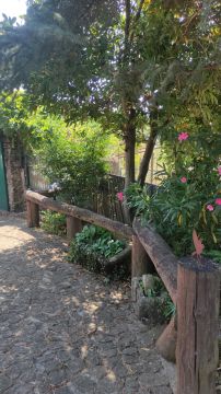 Carpinteiro
