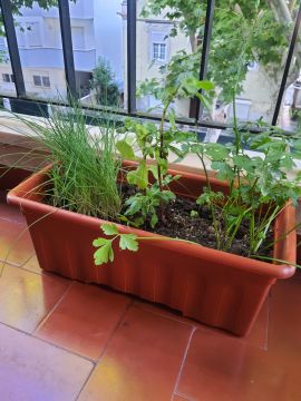 SalviA Plantas Plantsitter - Cascais - Gestão de Alojamento Local