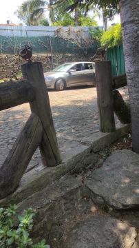 Carpintaria Geral