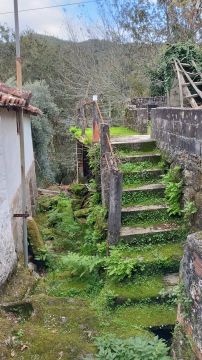 Remodelação da Casa