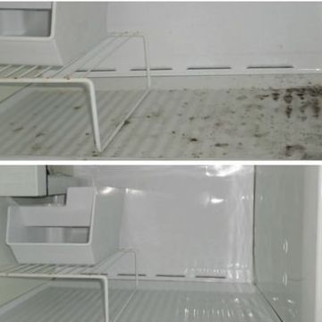 Jessica Gonçalves Viana - Moita - Limpeza a Fundo