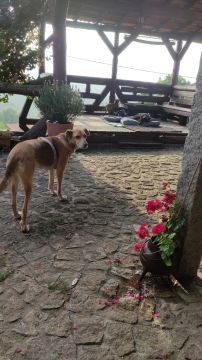 Carpintaria Geral - Carpintaria e Marcenaria