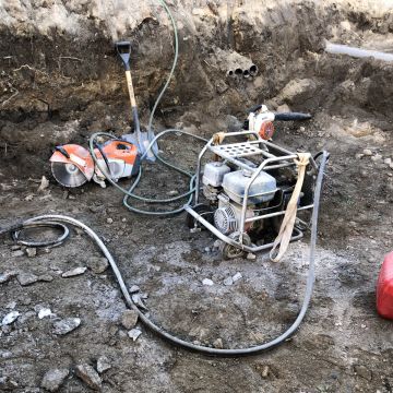 Vicente - Póvoa de Varzim - Tree Stump Grinding and Removal