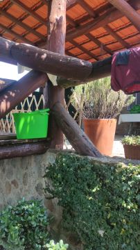 Carpinteiro - Casa