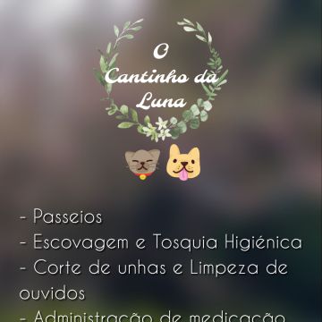 Mariana Melo - Valongo - Cuidado de mascotas