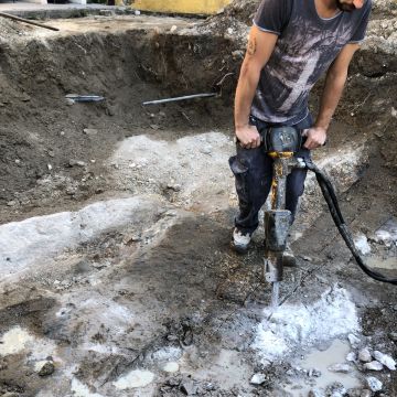 Vicente - Póvoa de Varzim - Remoção de Tronco de Árvore