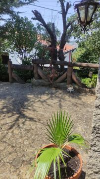 Carpinteiro - Casa