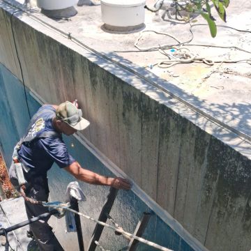 Priscilla Nascimento Augusto - Seixal - Tradução de Tailandês