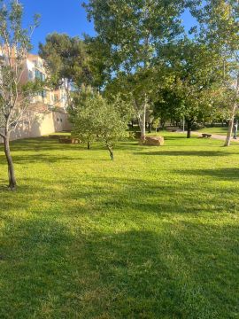 Cleangreen - Cascais - Gewächshaus - Montage und Reparatur