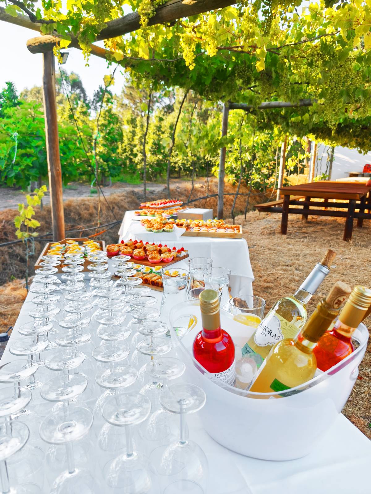 True Taste - The Meeting Kitchen - Torres Vedras - Catering de comidas de empresa