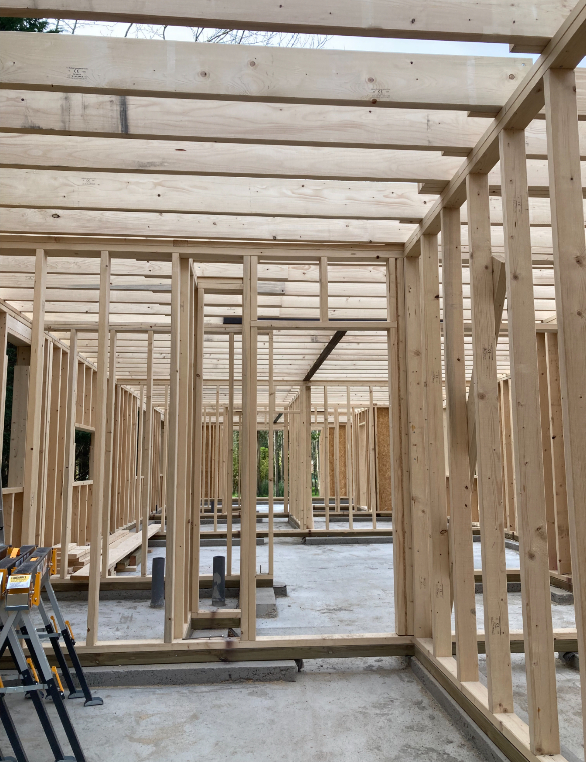 MULTILUK - Amadora - Remoção de Arbustos