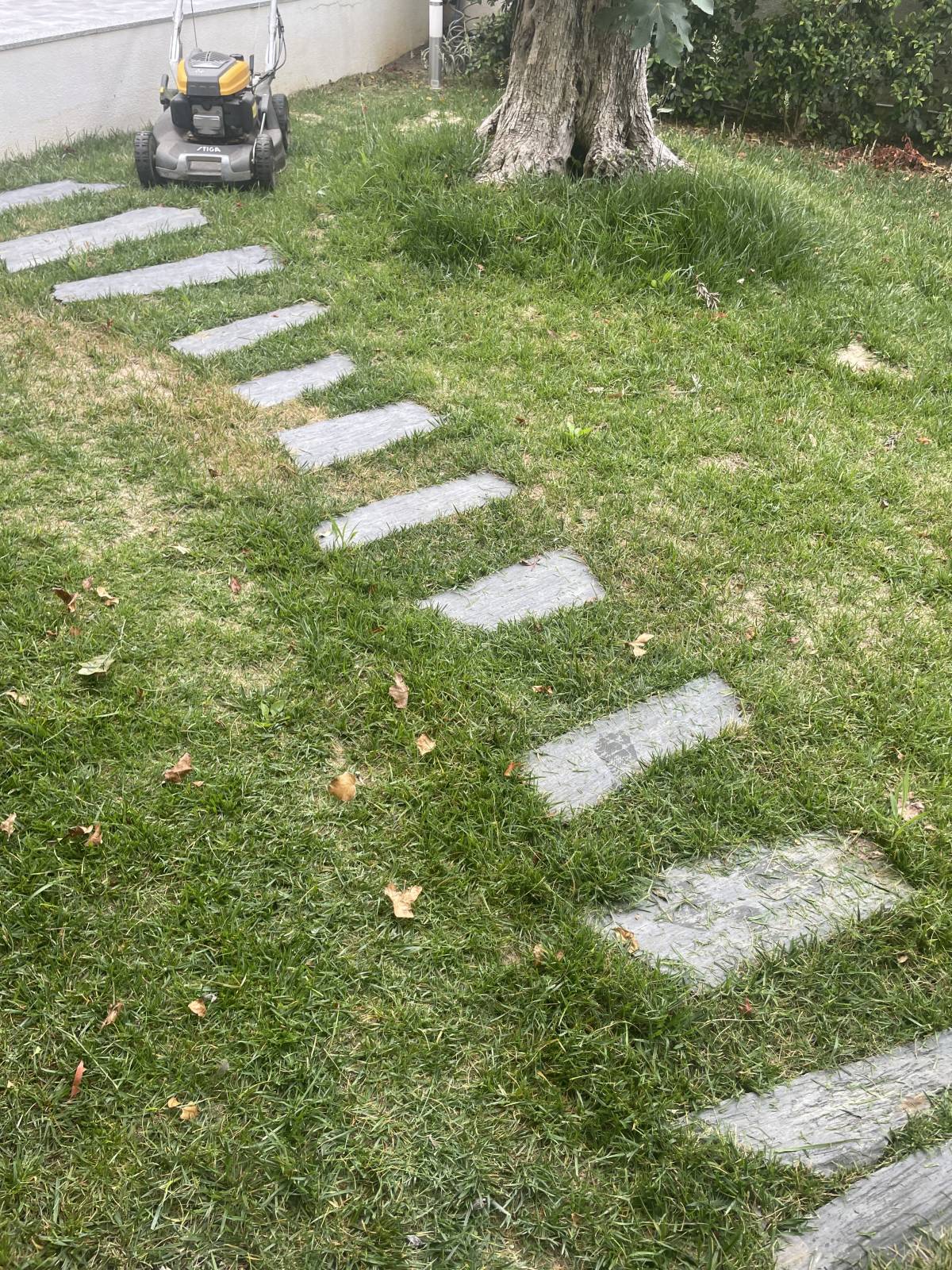 MULTILUK - Amadora - Instalação de Lâmpada