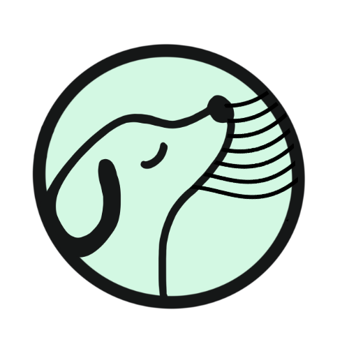 Entre Patas - Vila Nova de Gaia - Dog Sitting