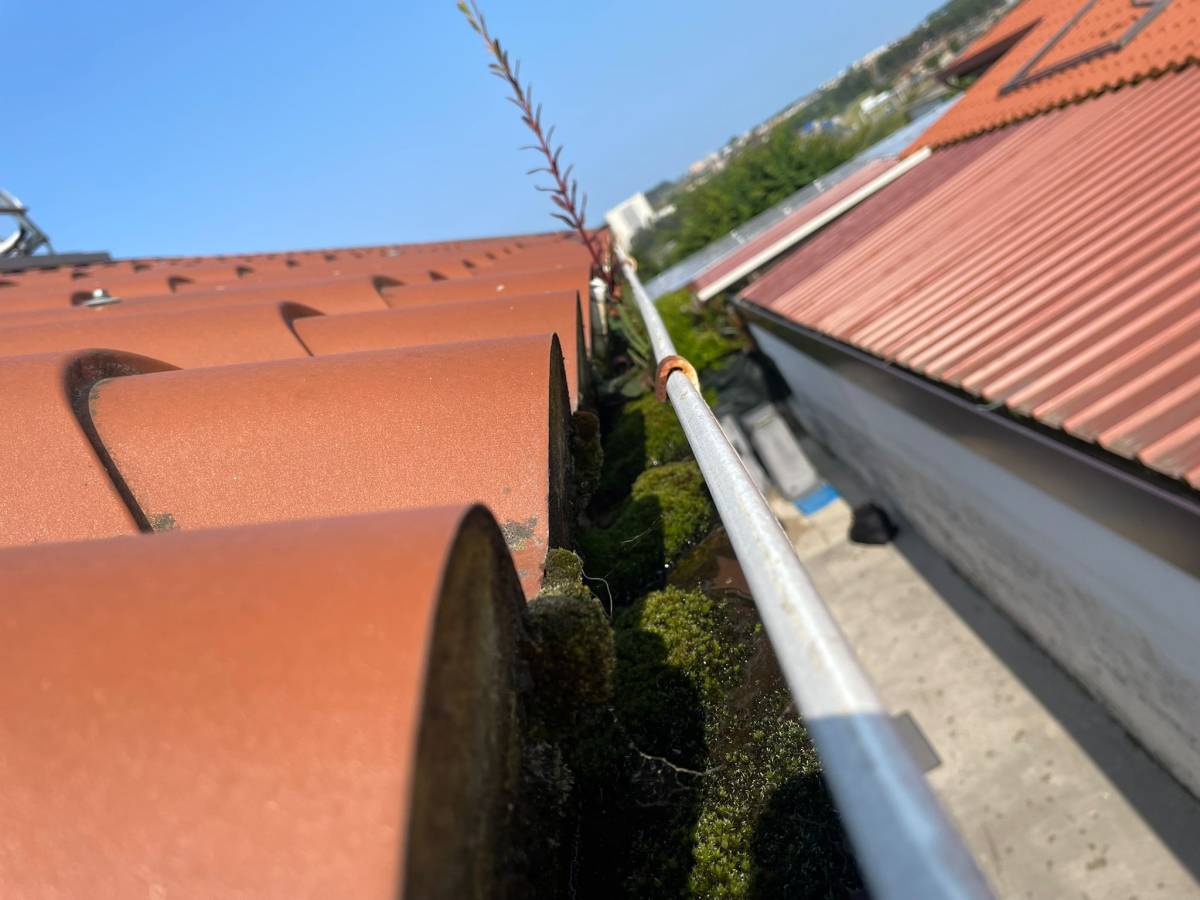 Flash Esgotos Desentupimentos - Porto - Limpieza de Sofás