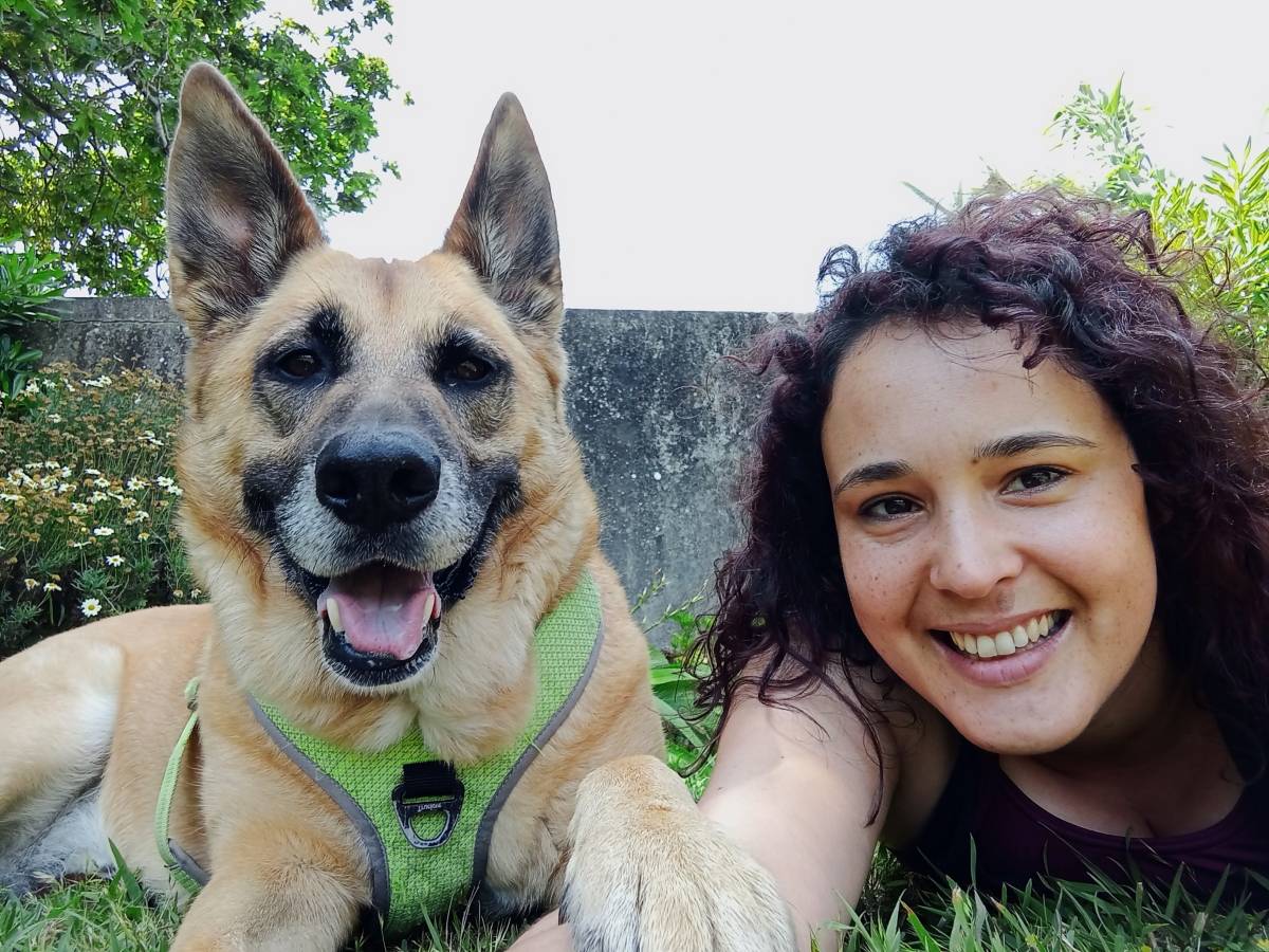 Entre Patas - Vila Nova de Gaia - Dog Walking