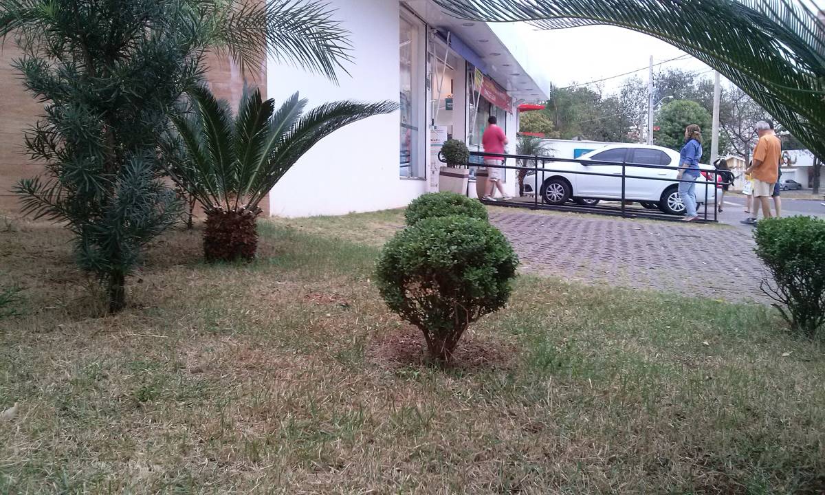Rogerio - Viana do Castelo - Tree Stump Grinding and Removal