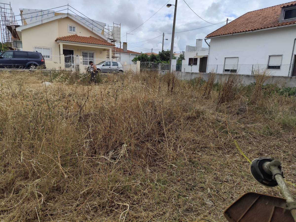 J&T LIMPEZA DE TERRNOS E MANUTENÇÃO DE JARDIM ARDINS - Cascais - Deshierbo