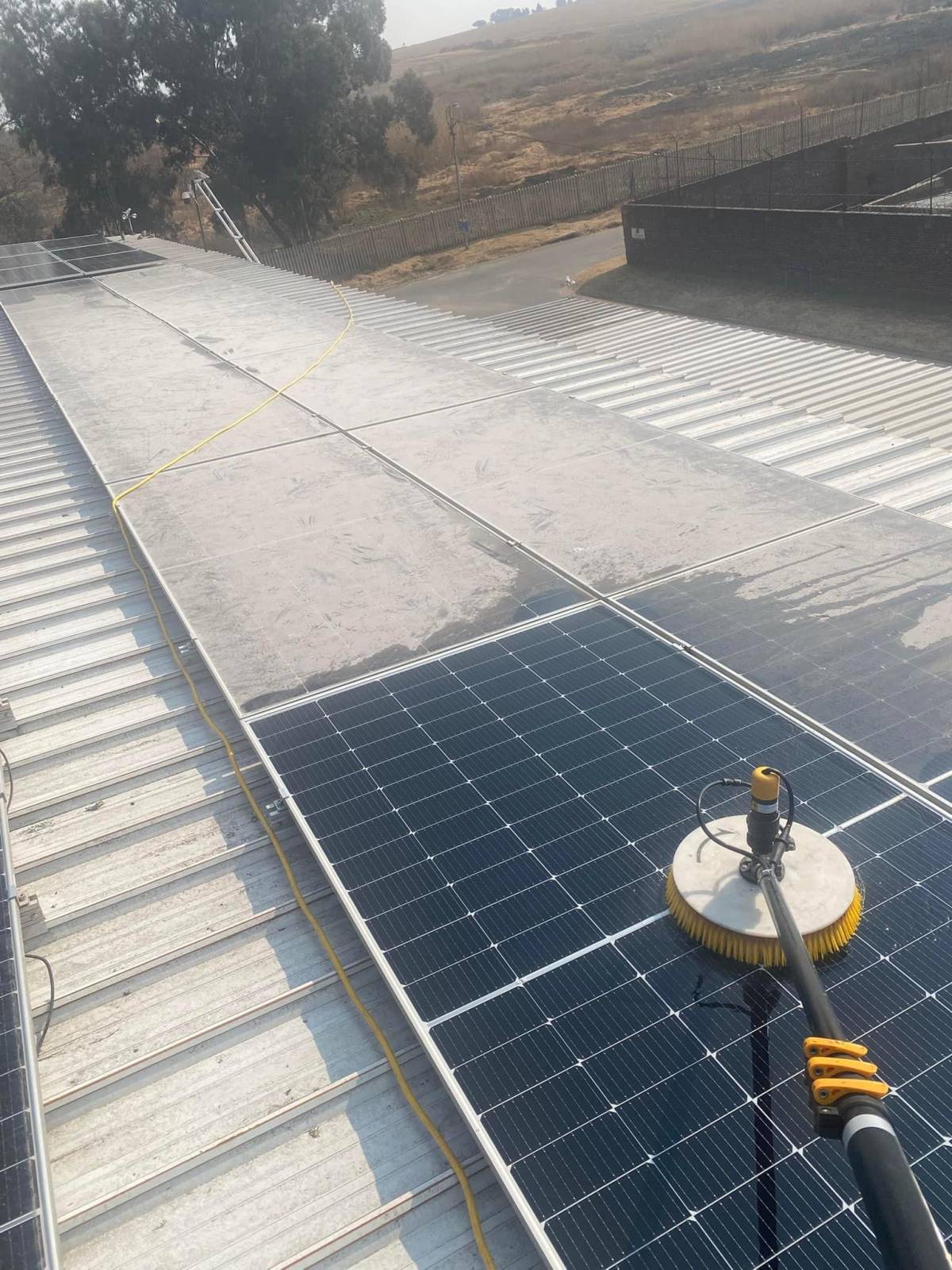 MANUTENÇÃO DE PARQUES FOTOVOLTAICOS - Covilhã - Baumstumpf oder -wurzel wegfräsen und entfernen