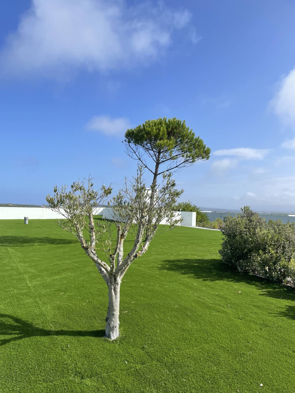 MULTILUK - Amadora - Estufas