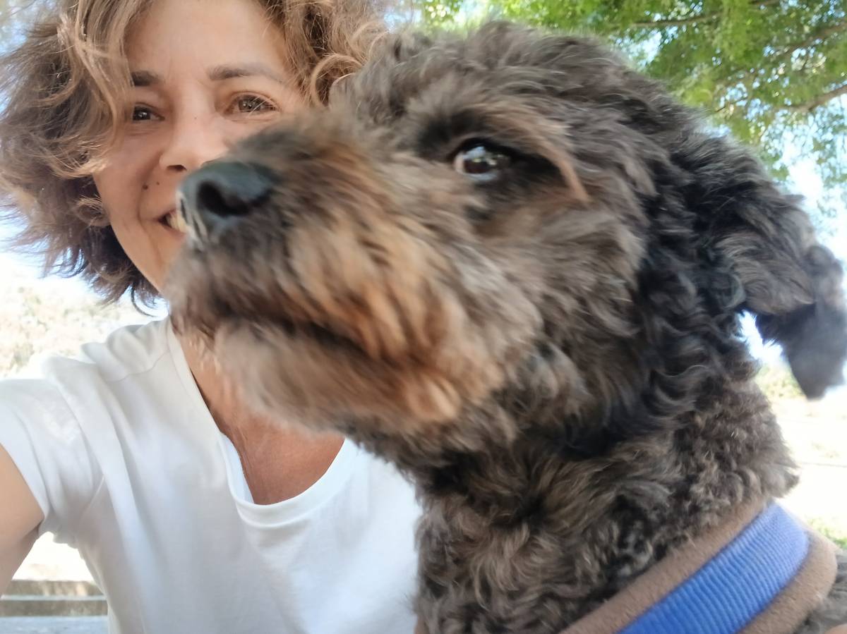 Sandra Grilo - Oeiras - Cuidar tus mascotas