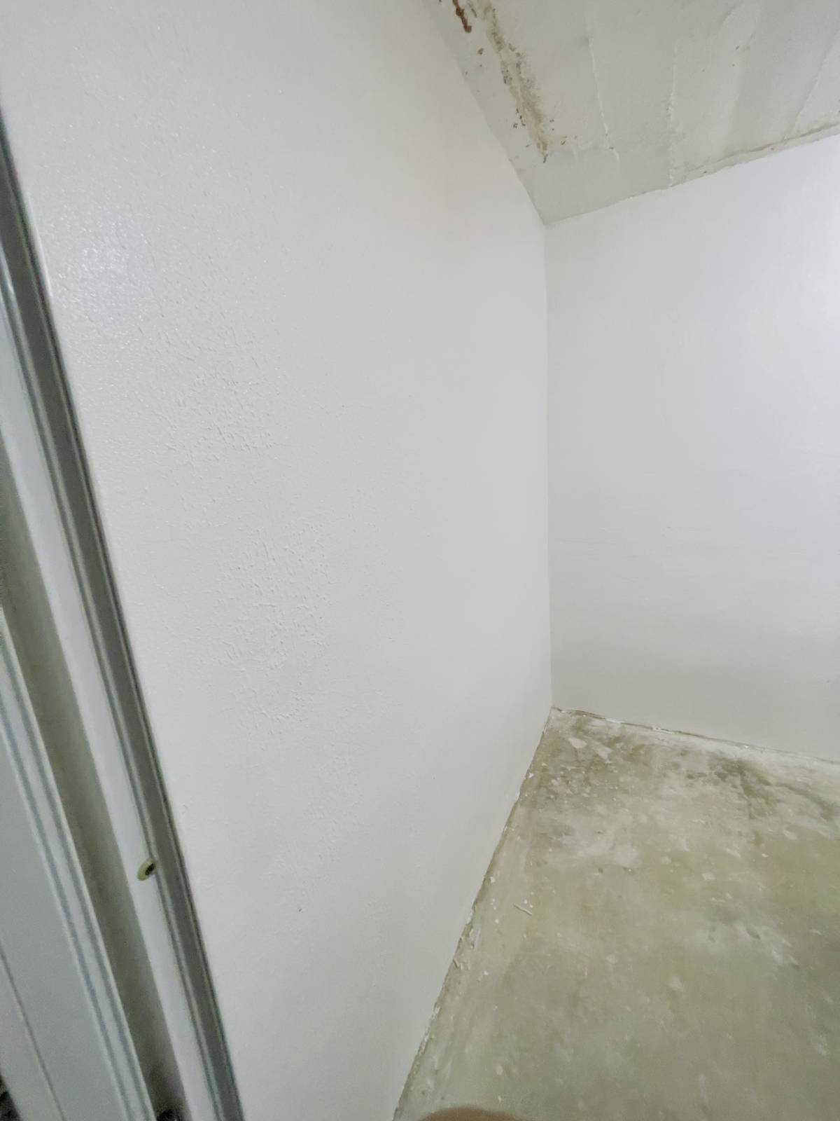 GONDAL BATIMENT RENOVATION - Lisboa - Limpieza de moquetas